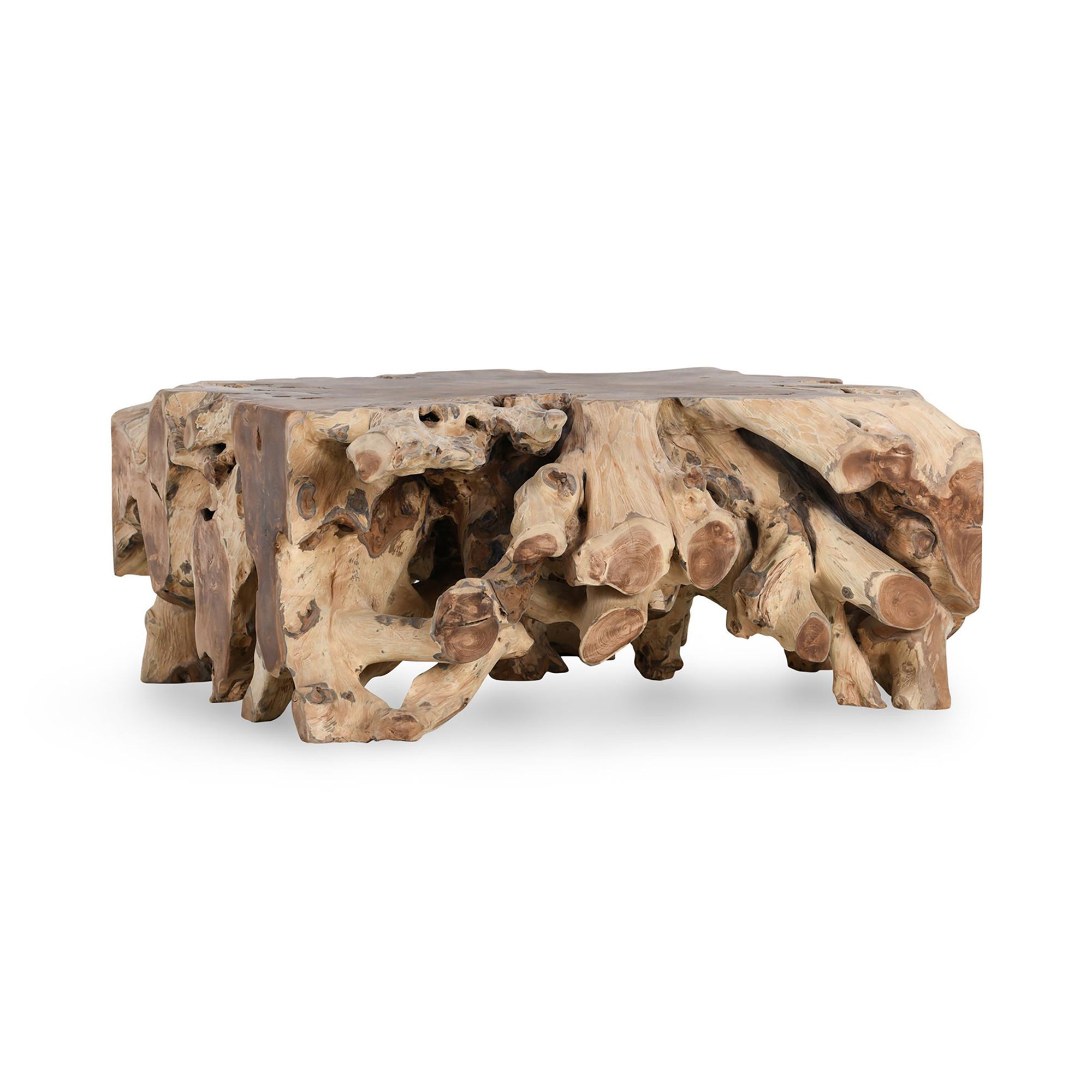 Cypress Root 40" Square Coffee Table