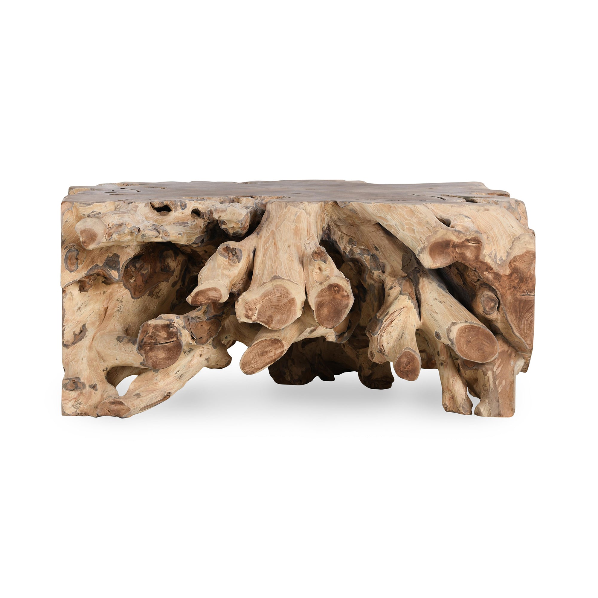 Cypress Root 40" Square Coffee Table