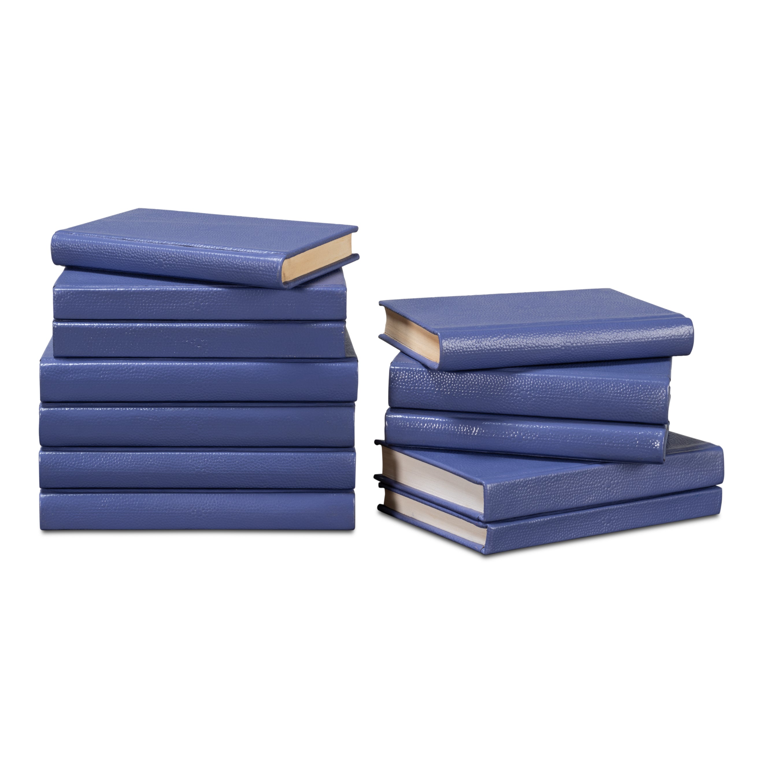 Shagreen Books - Set of 12