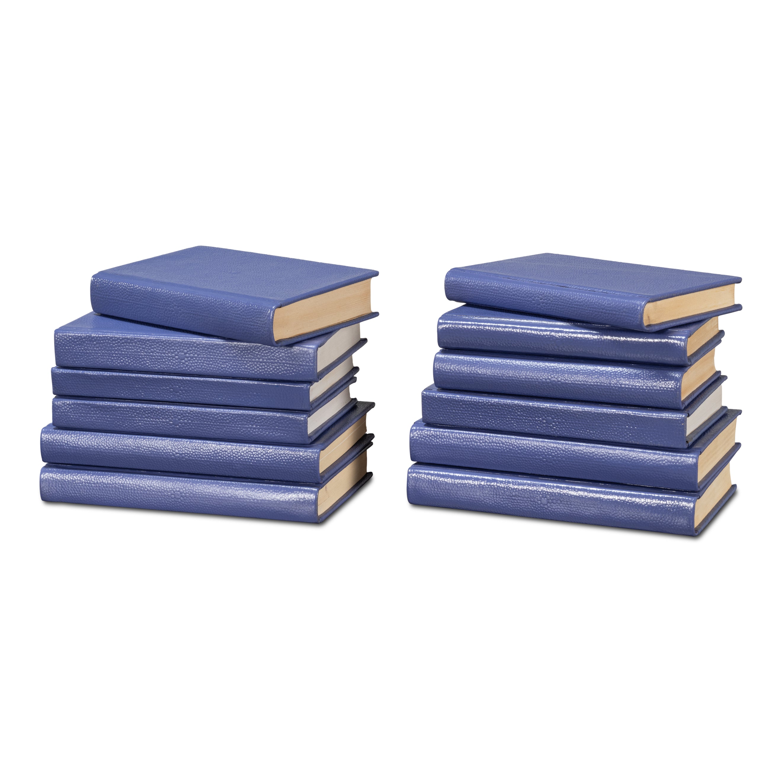 Shagreen Books - Set of 12
