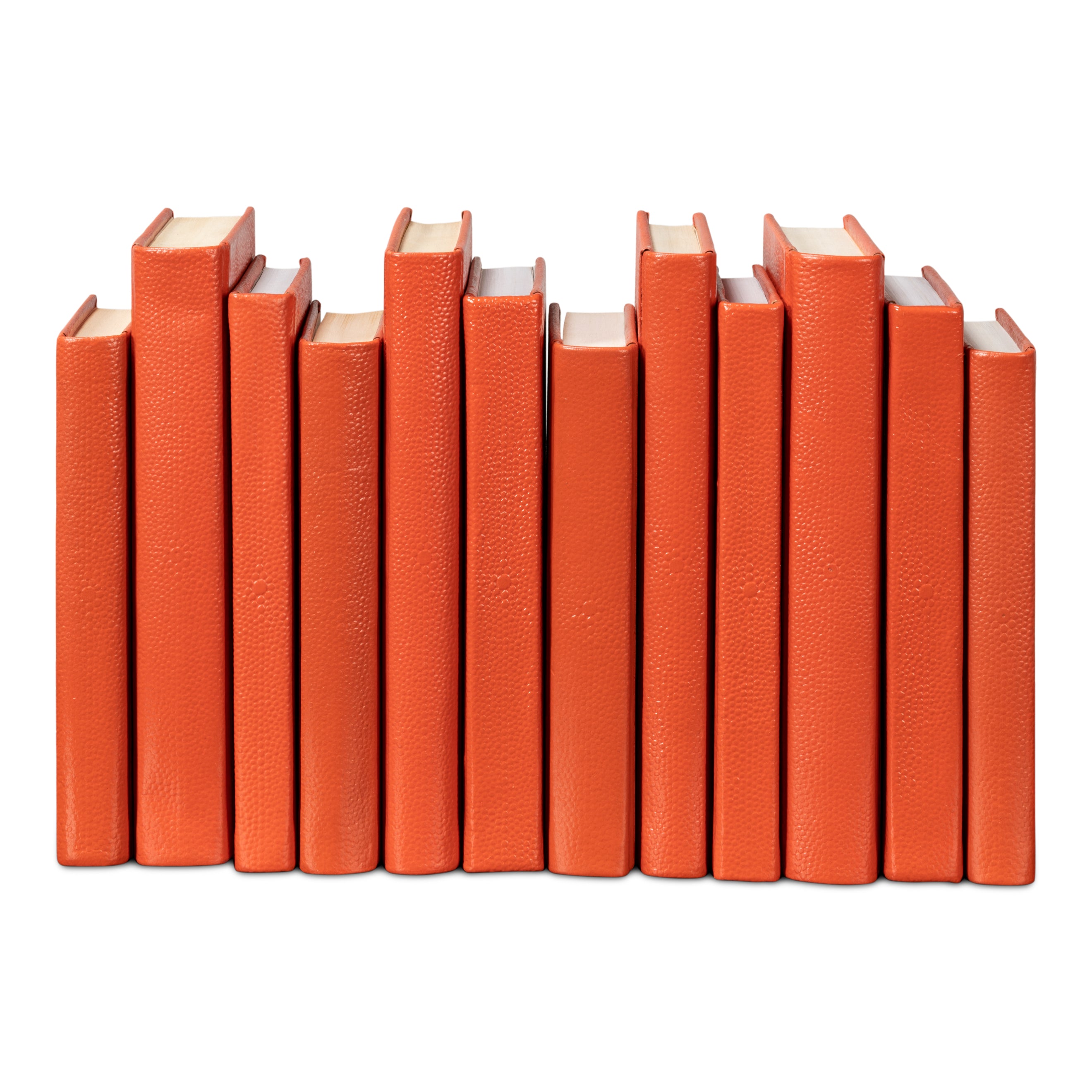 Shagreen Books - Set of 12