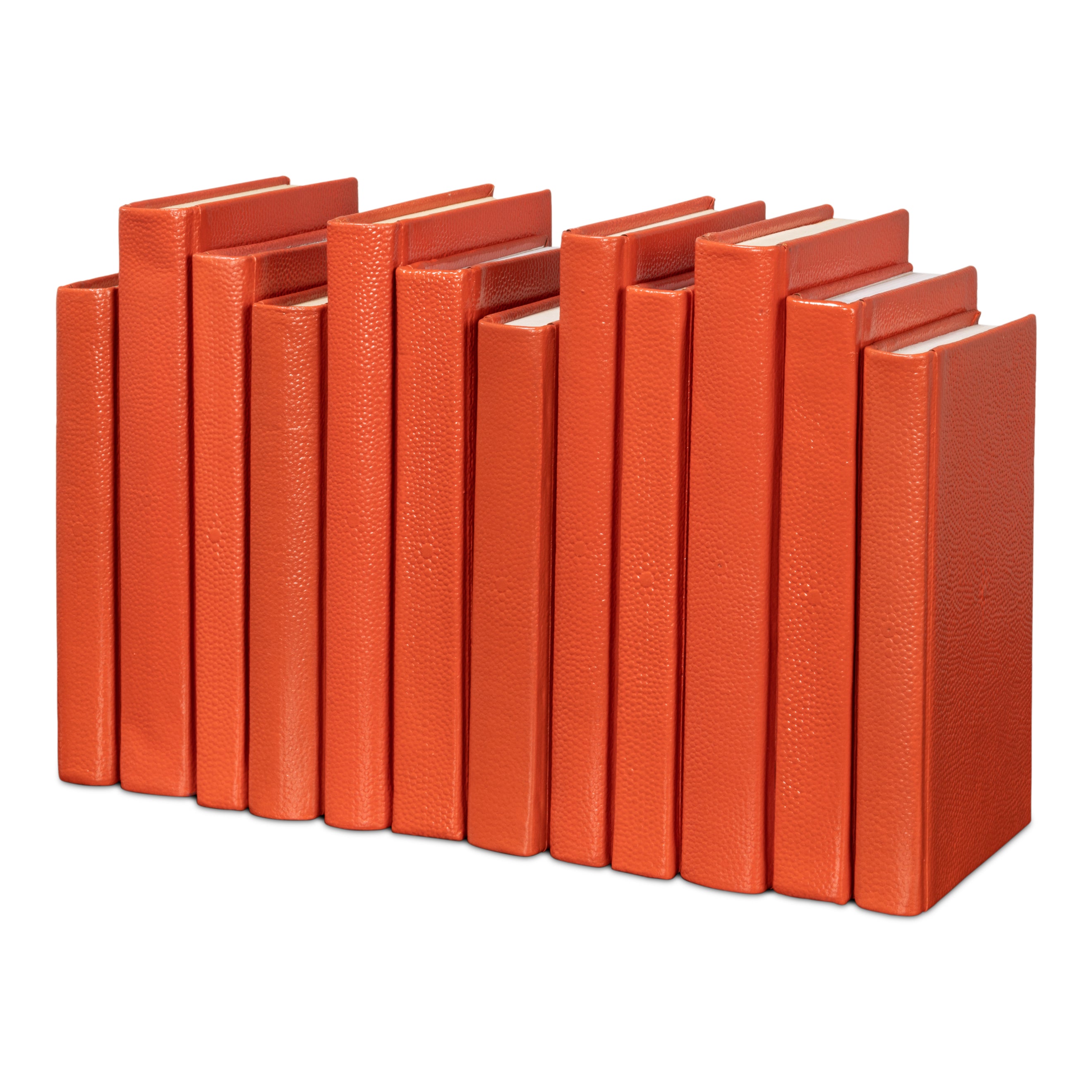 Shagreen Books - Set of 12