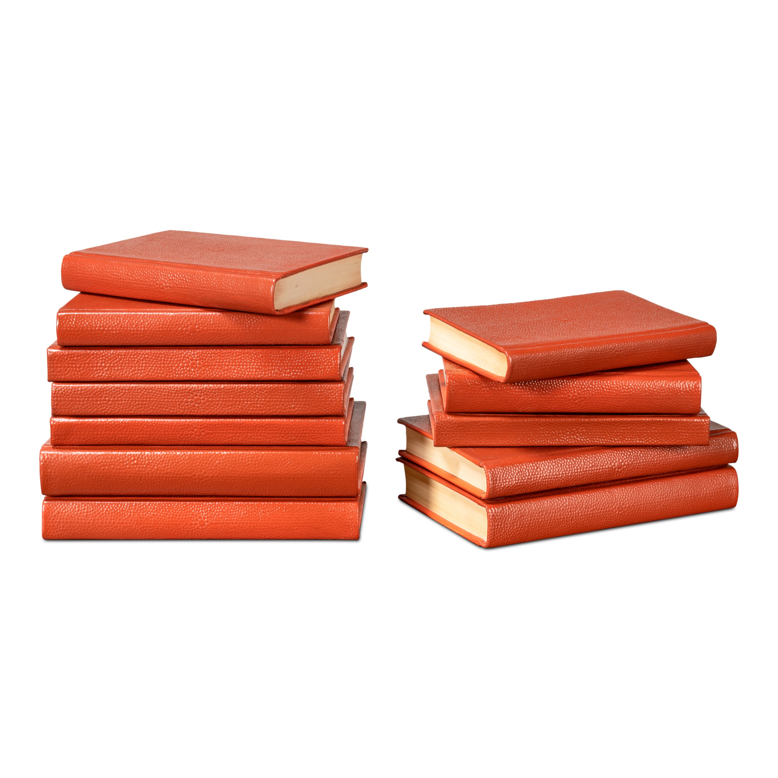 Shagreen Books - Set of 12