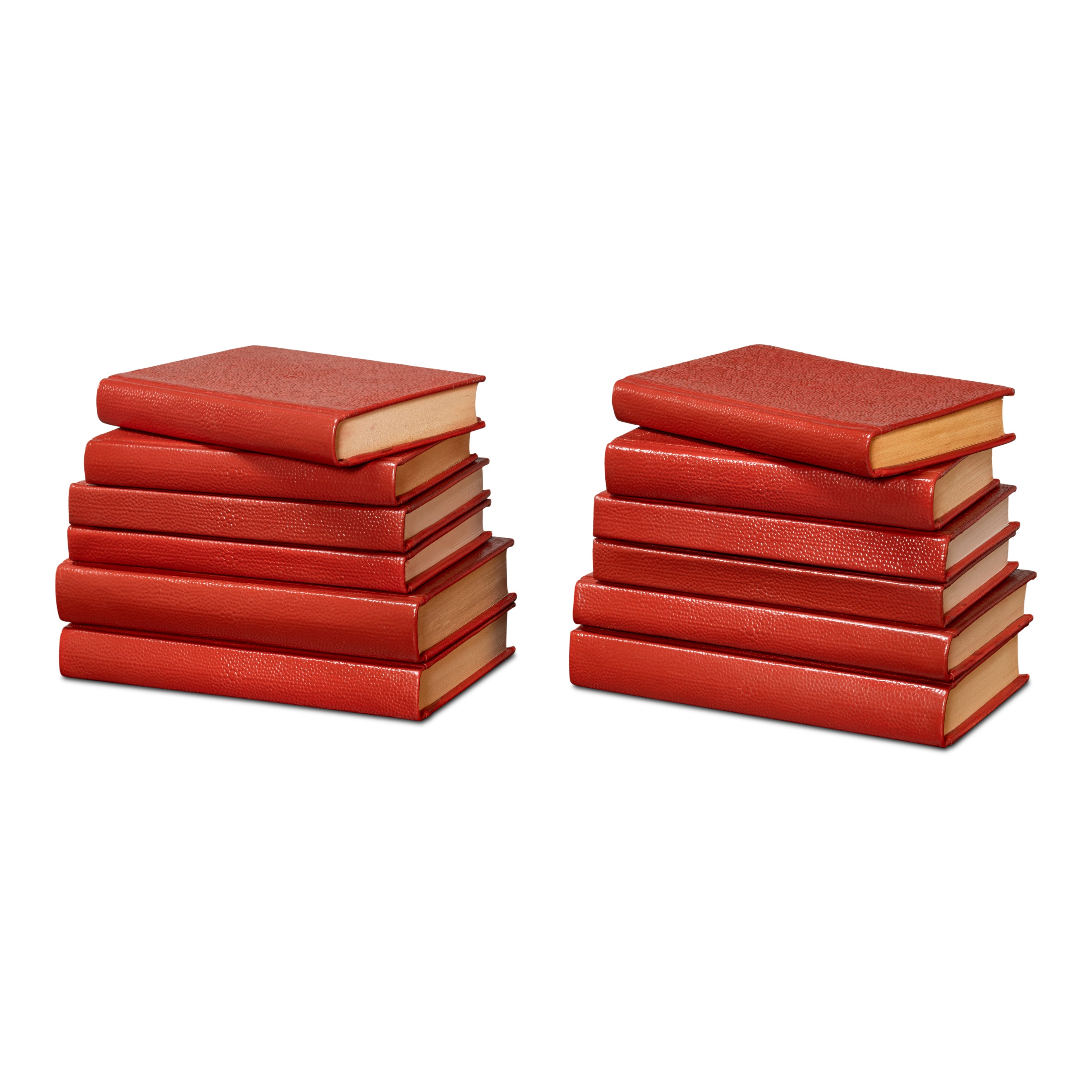 Shagreen Books - Set of 12