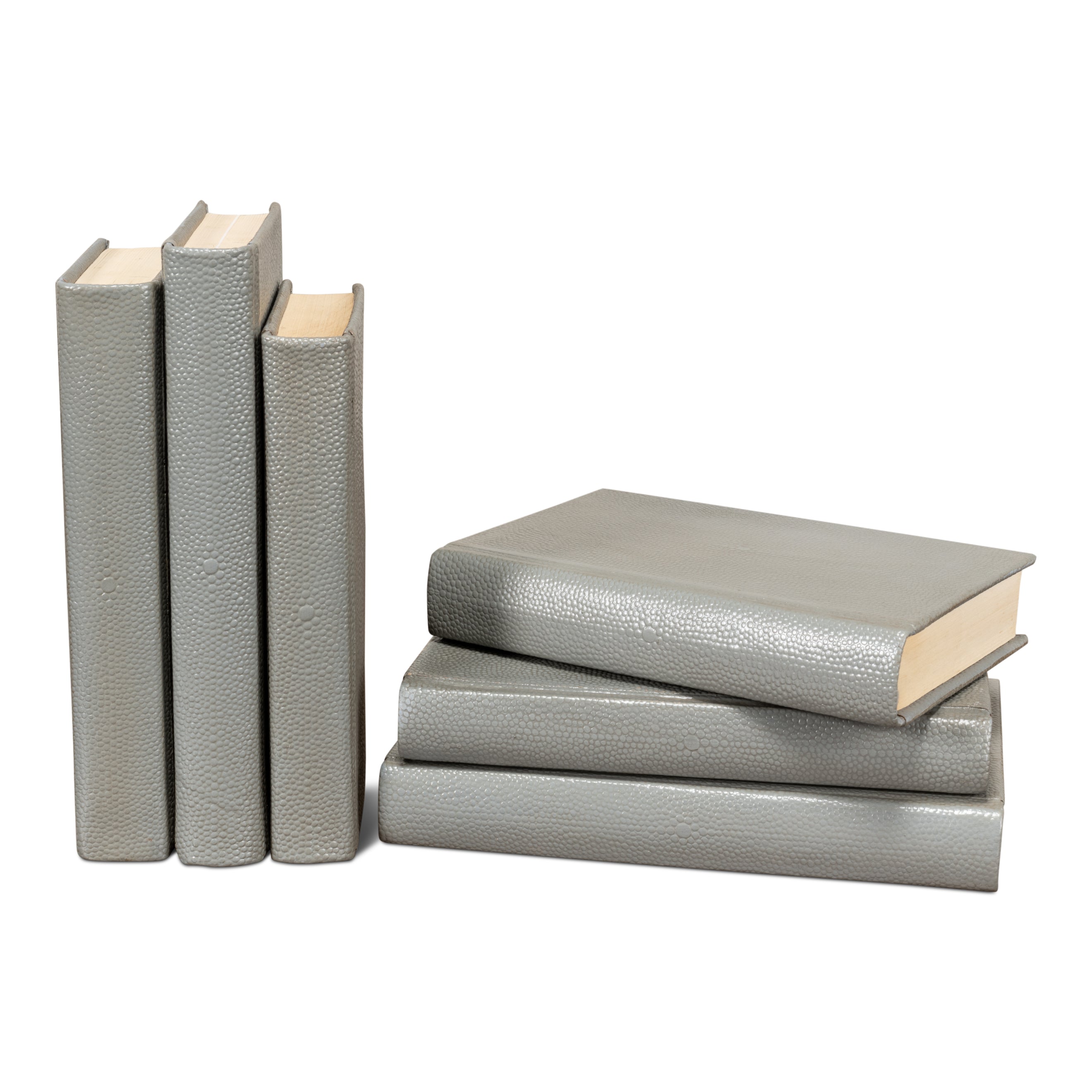 Shagreen Books - Set of 12