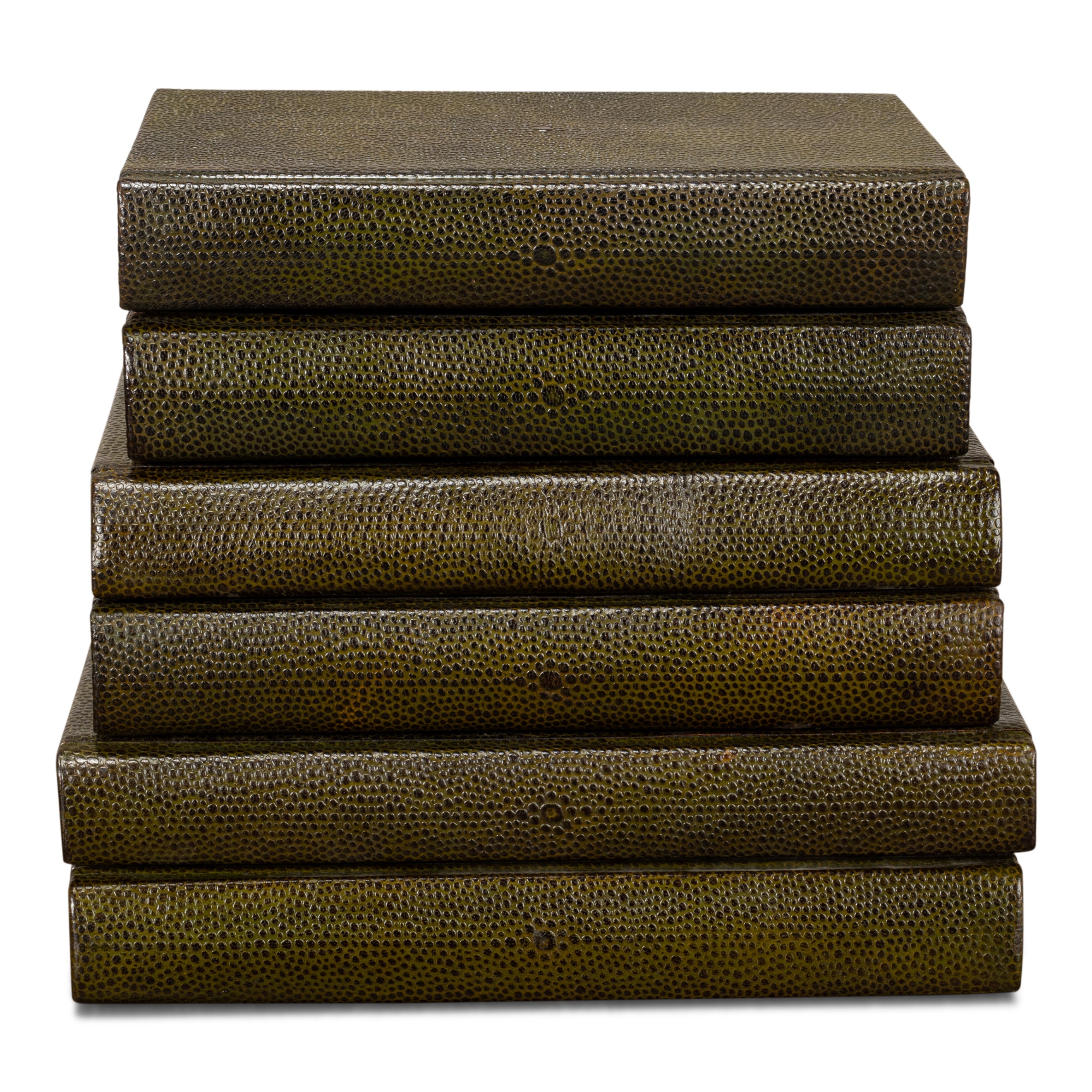Shagreen Books - Set of 12