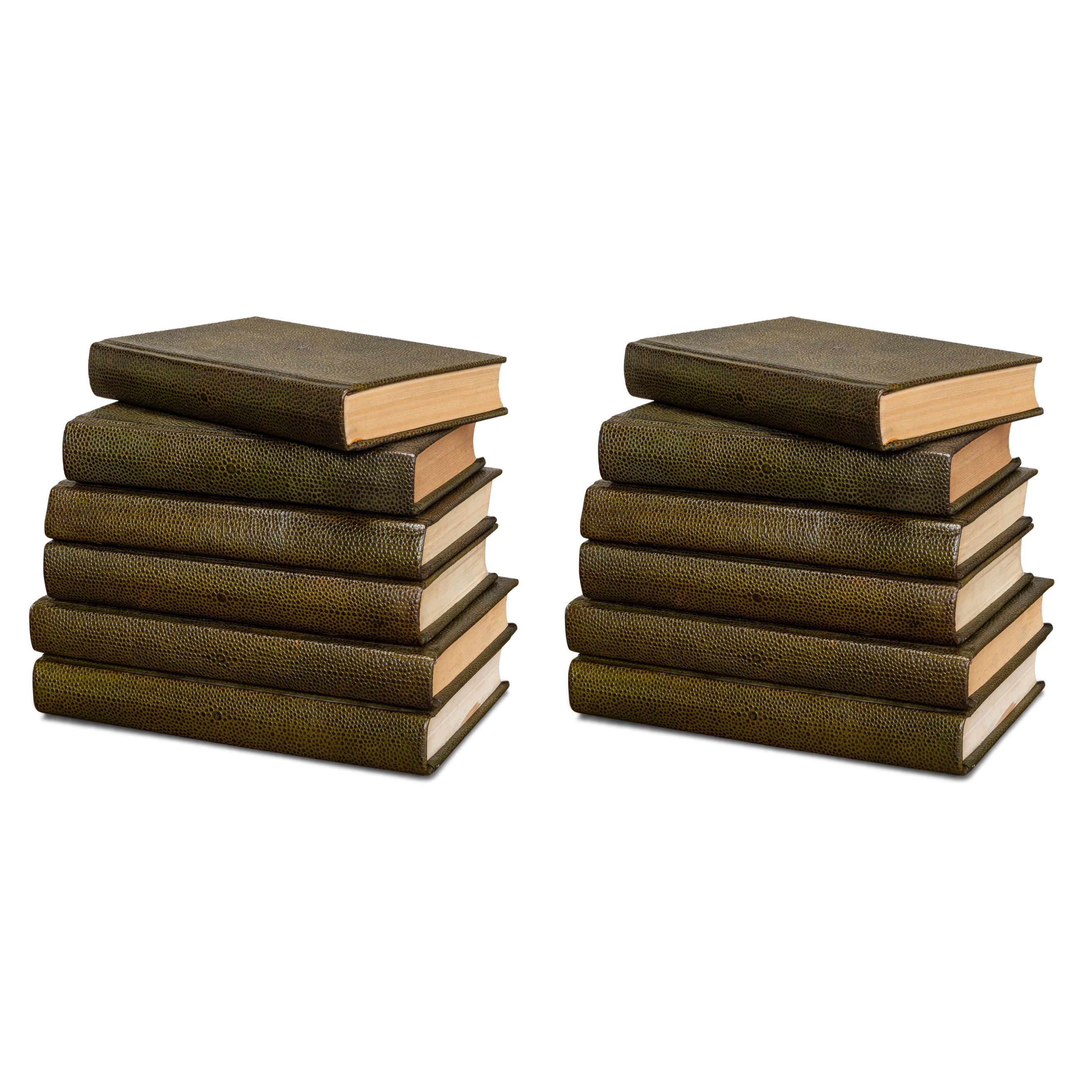 Shagreen Books - Set of 12