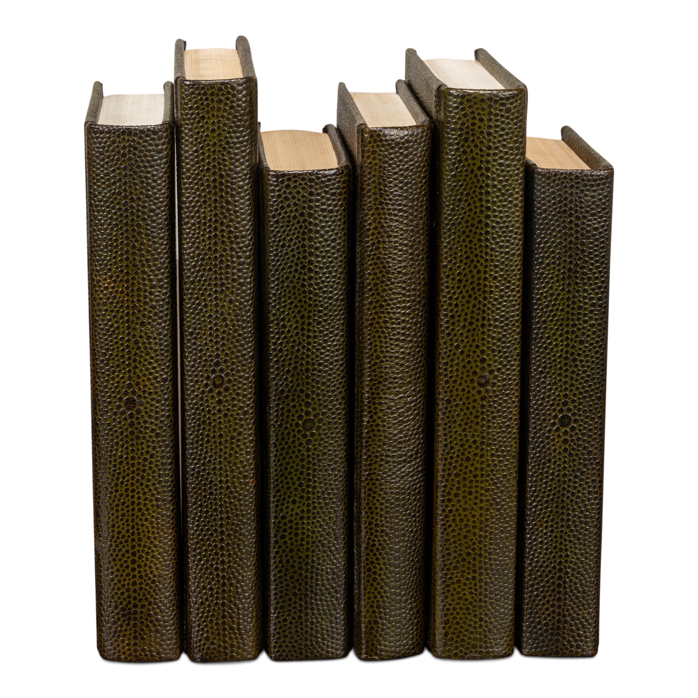 Shagreen Books - Set of 12