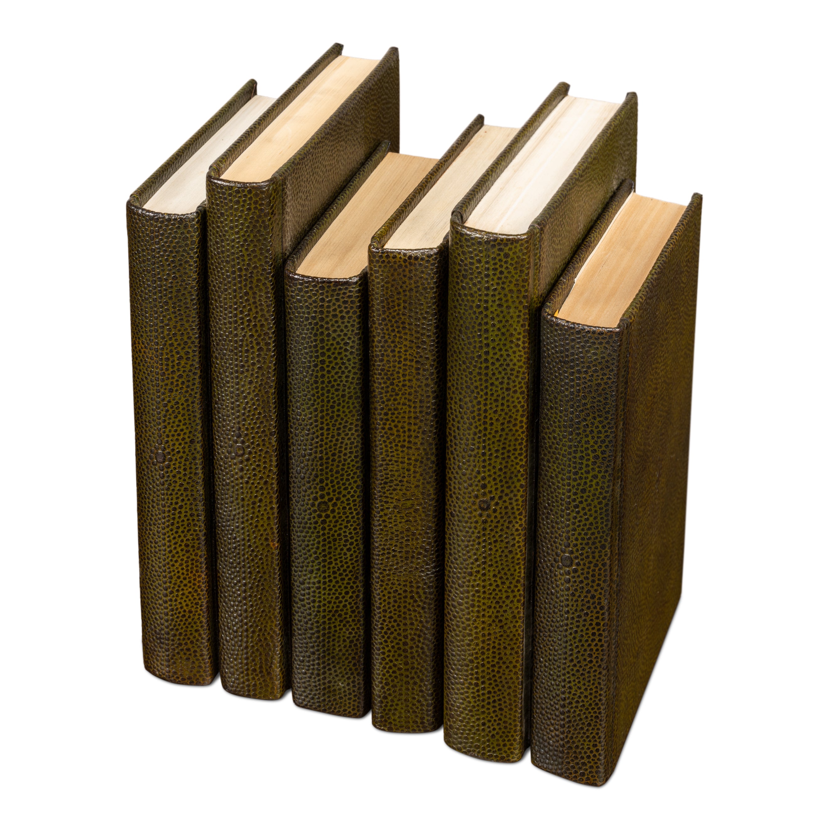 Shagreen Books - Set of 12