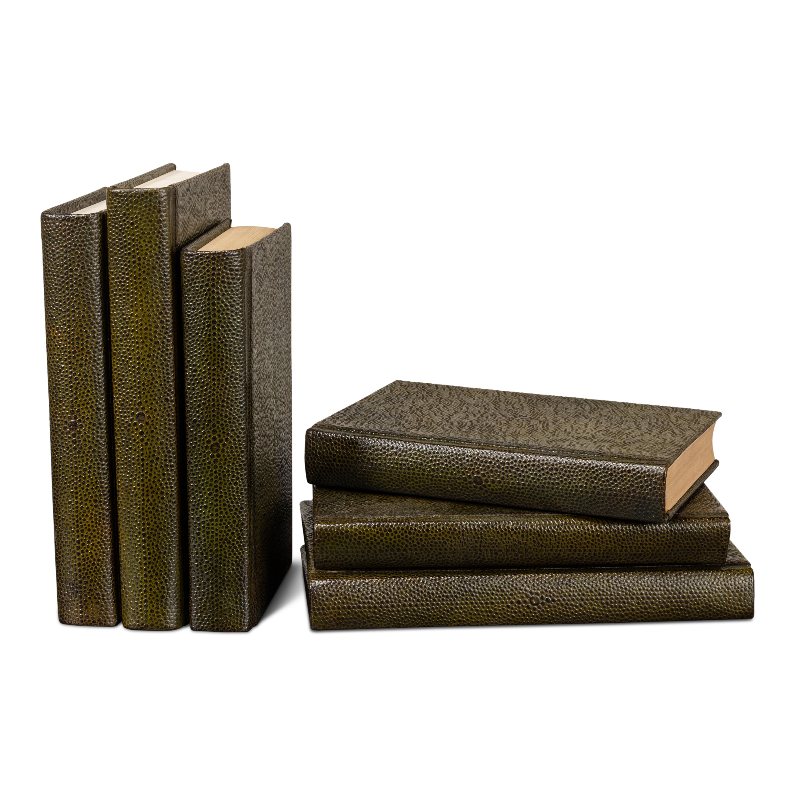 Shagreen Books - Set of 12