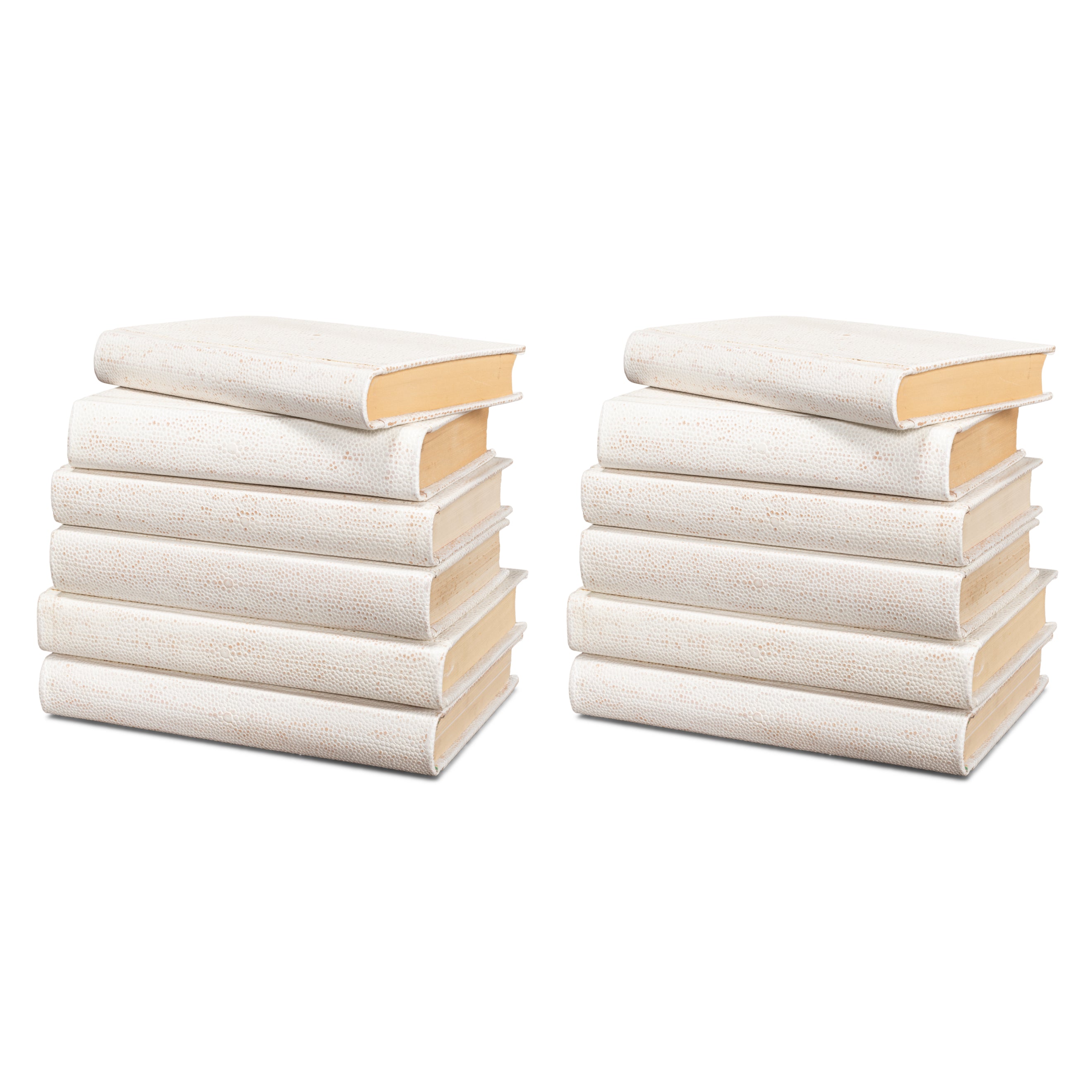 Shagreen Books - Set of 12