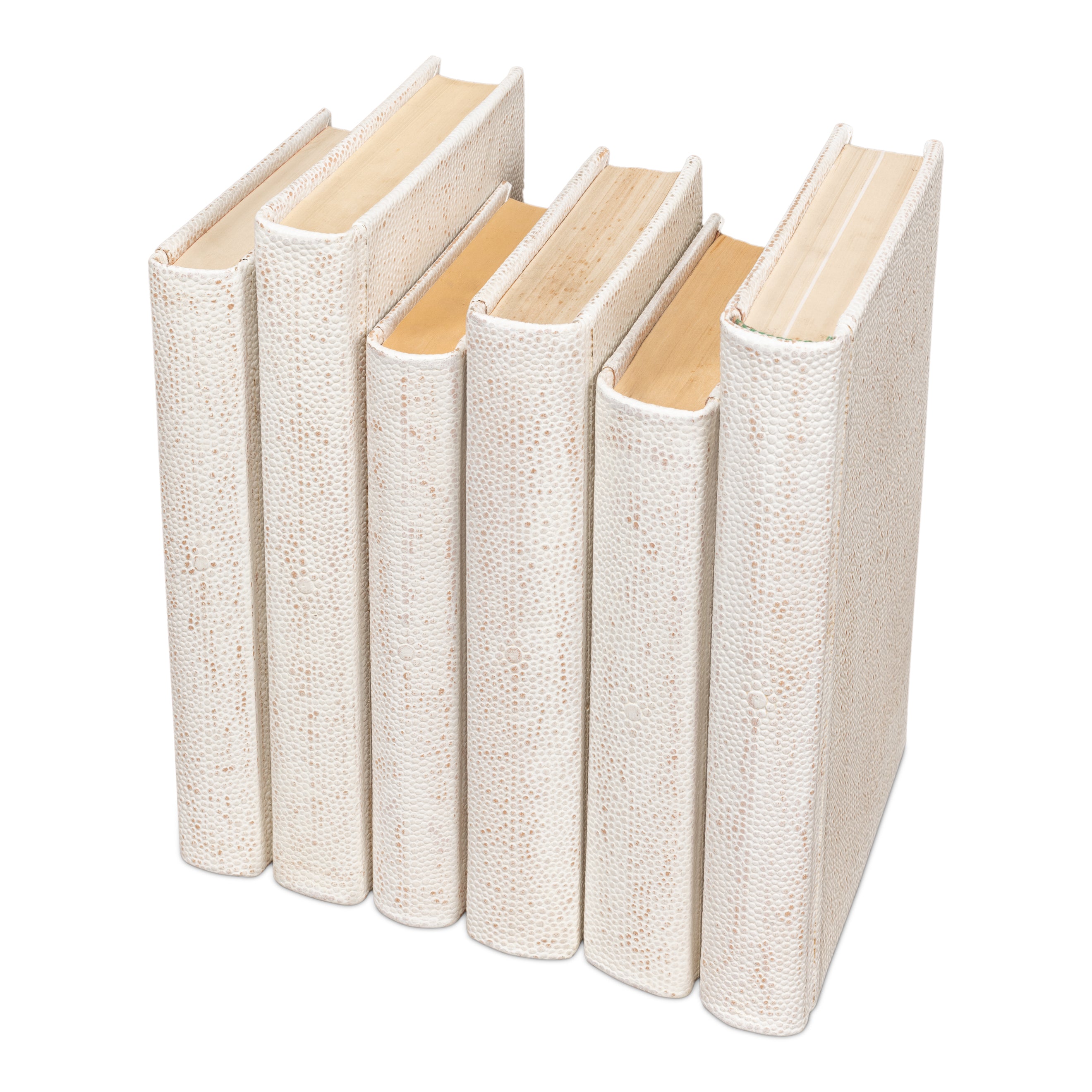 Shagreen Books - Set of 12