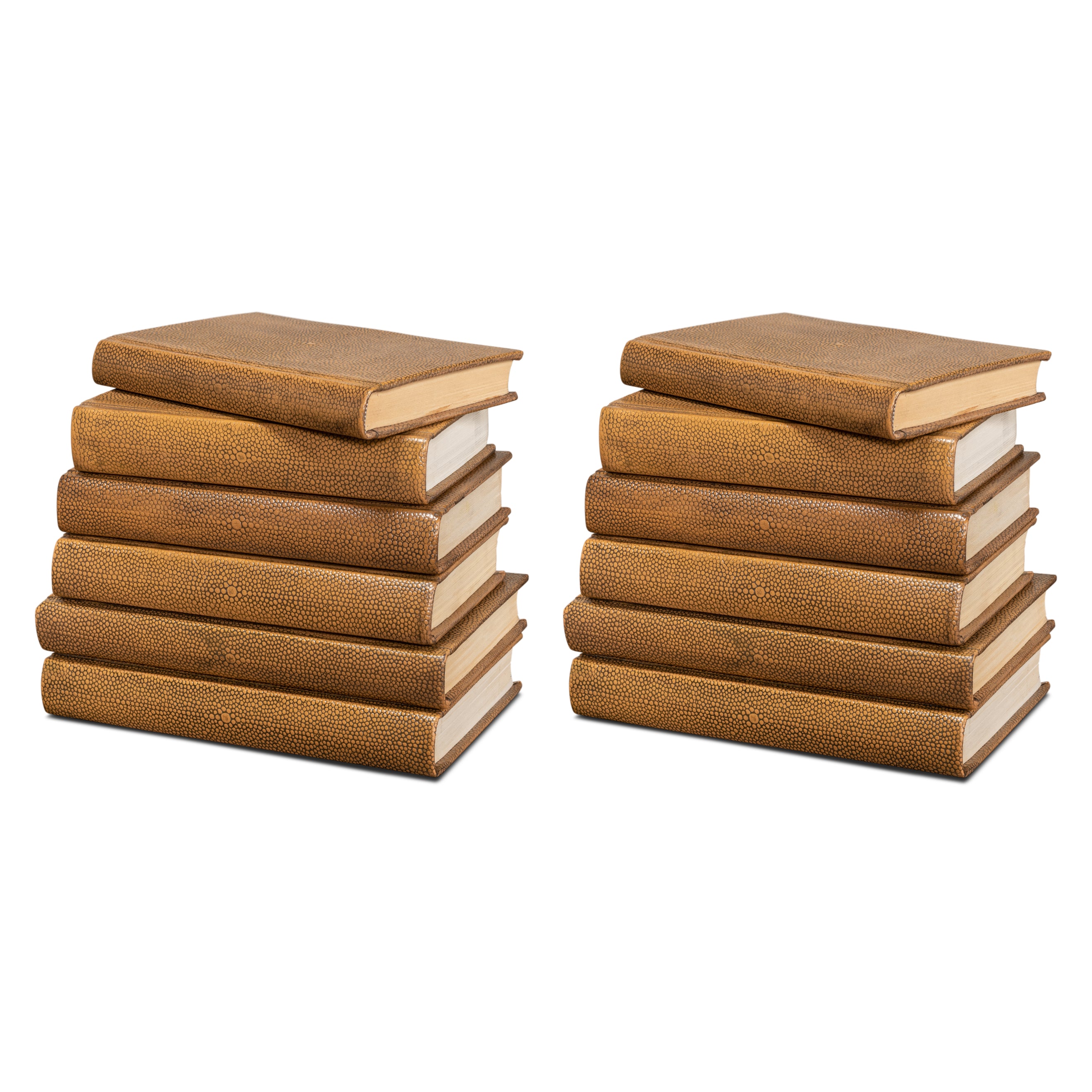 Shagreen Books - Set of 12
