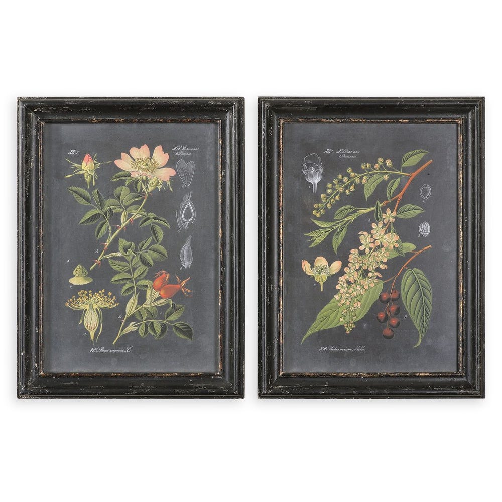 Uttermost Midnight Botanicals Wall Art - Set of 2