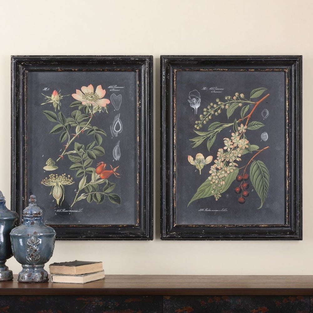 Uttermost Midnight Botanicals Wall Art - Set of 2