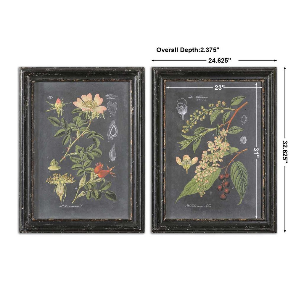 Uttermost Midnight Botanicals Wall Art - Set of 2
