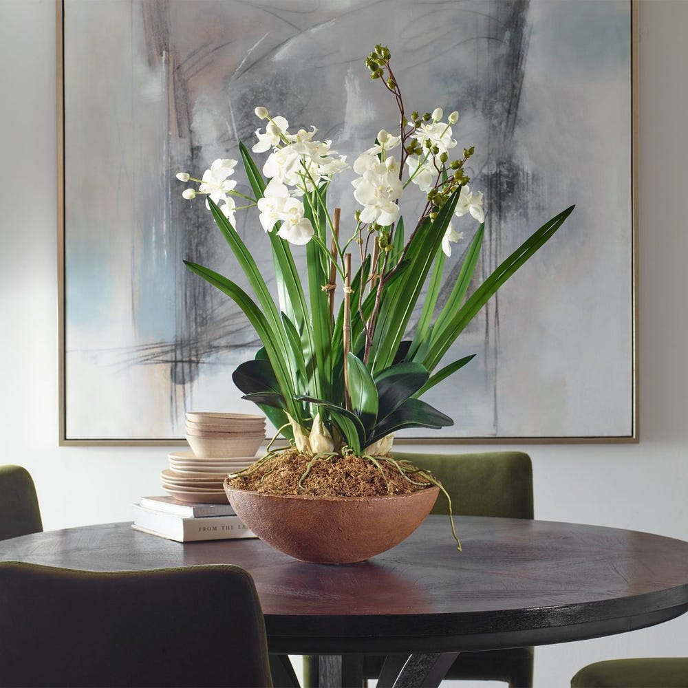 Uttermost Moth Orchid Planter