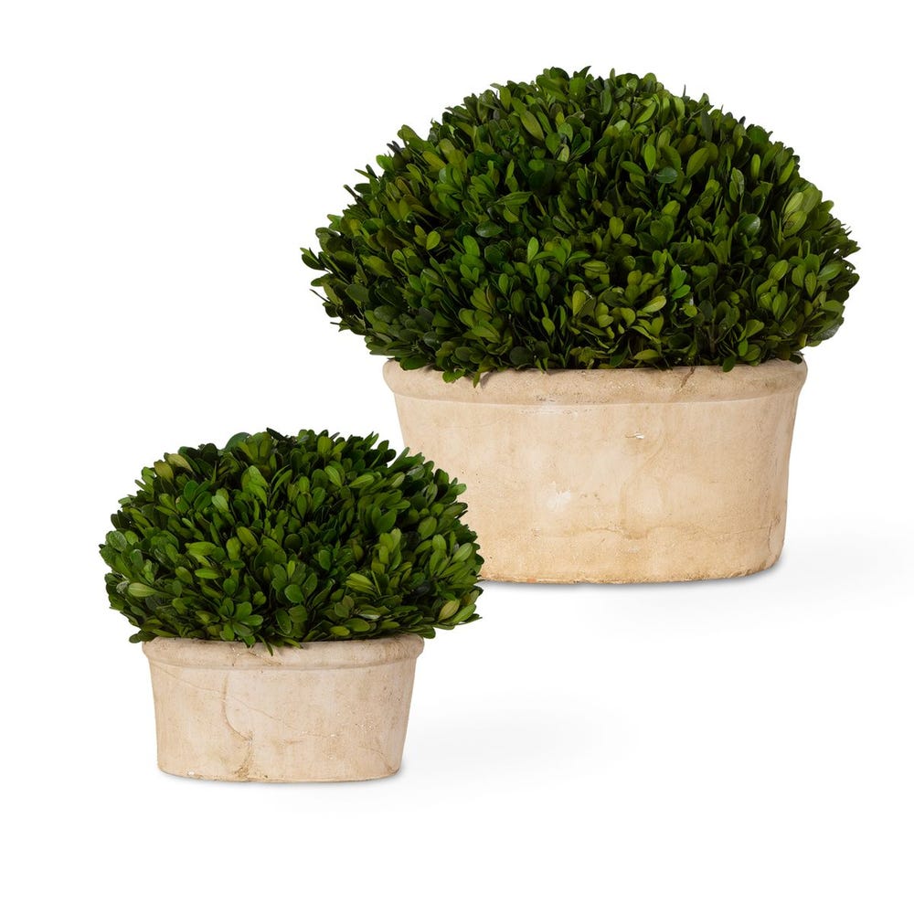 Uttermost Oval Domes Preserved Boxwood - Set of 2