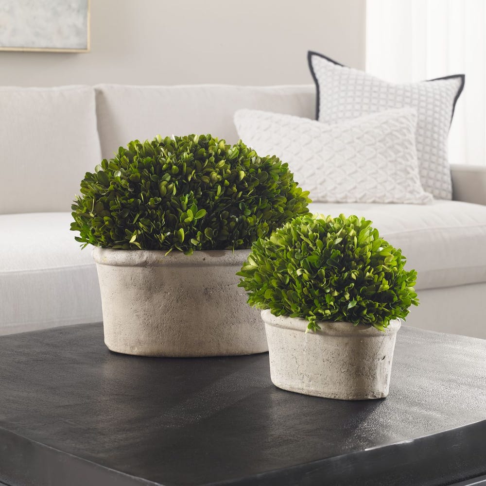 Uttermost Oval Domes Preserved Boxwood - Set of 2