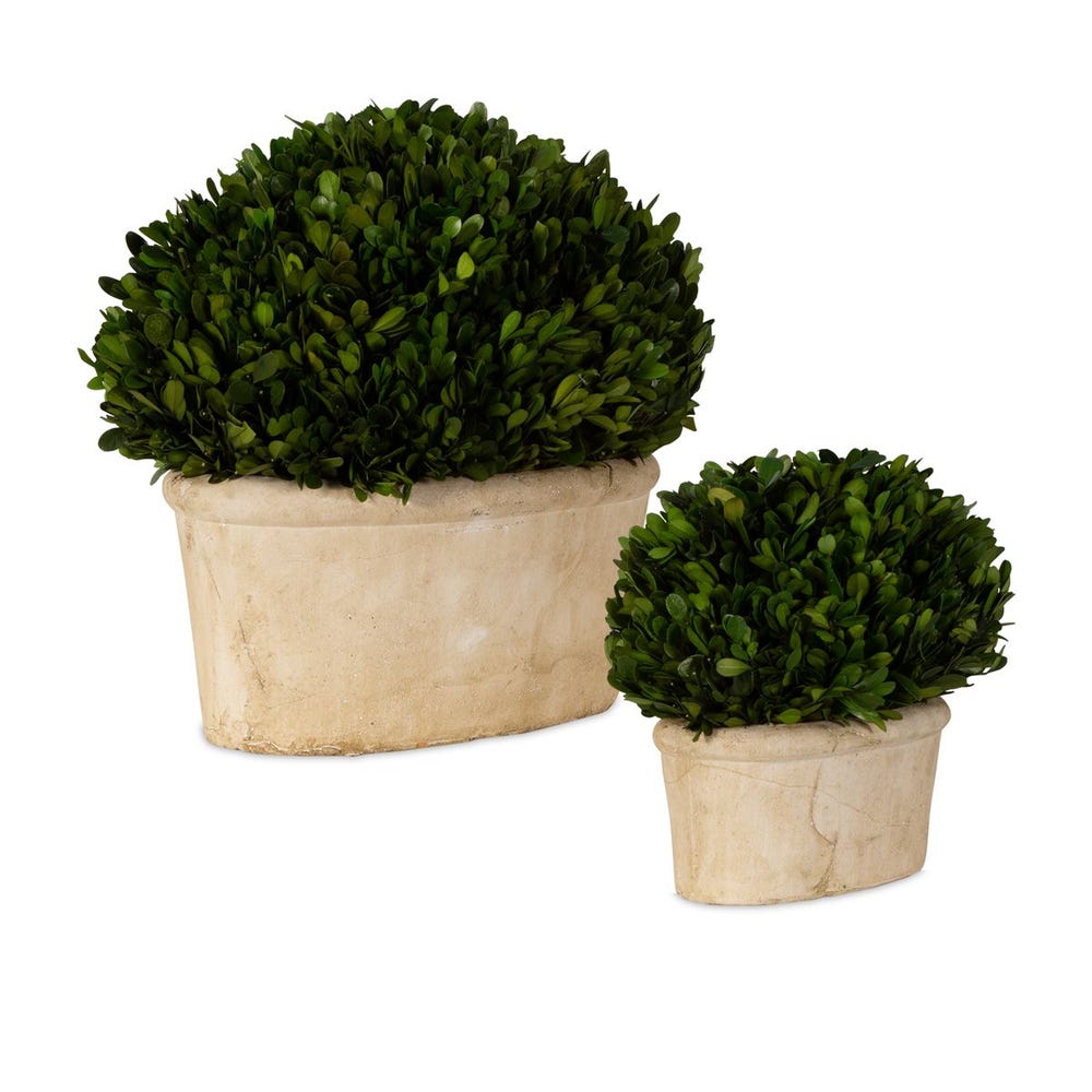 Uttermost Oval Domes Preserved Boxwood - Set of 2
