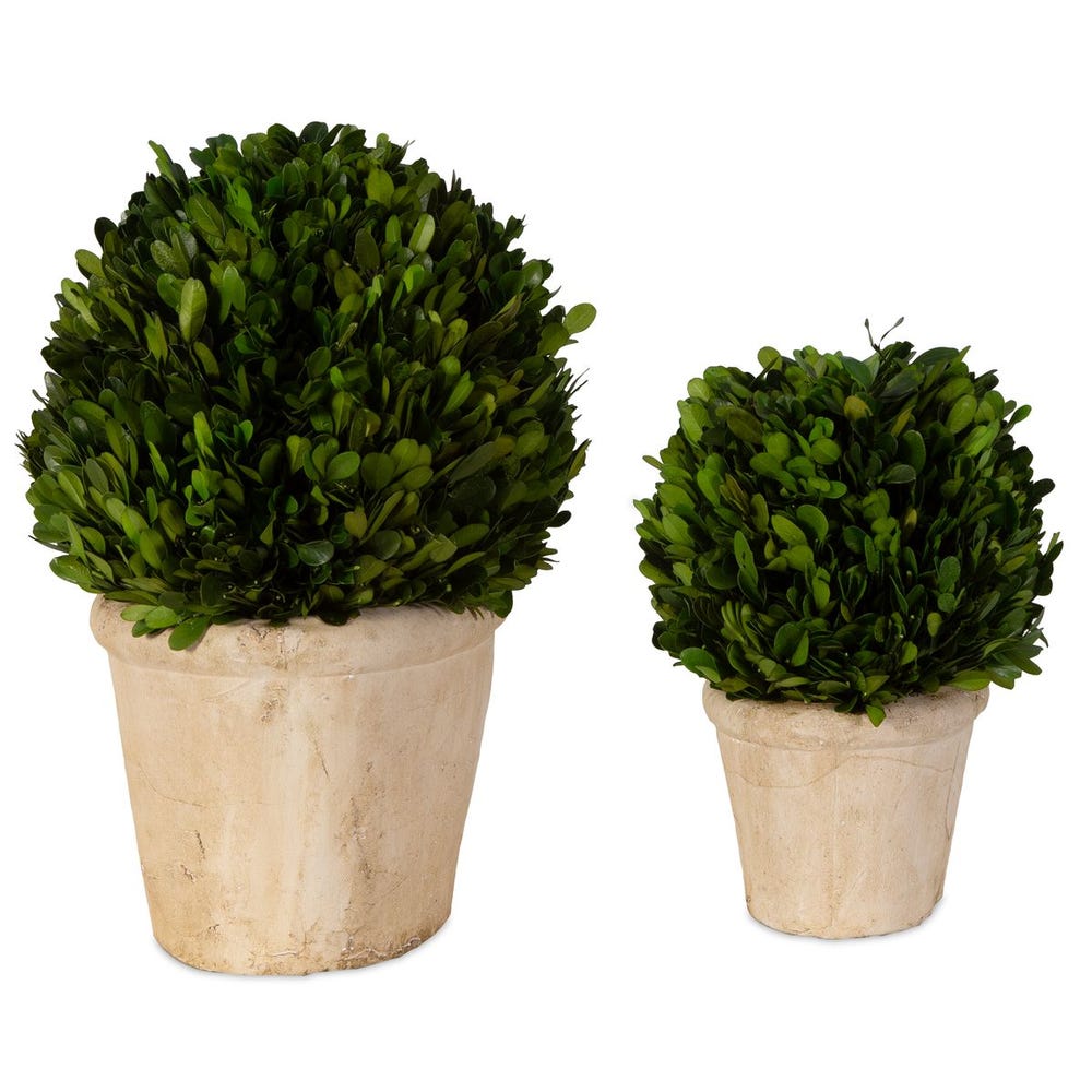 Uttermost Oval Domes Preserved Boxwood - Set of 2
