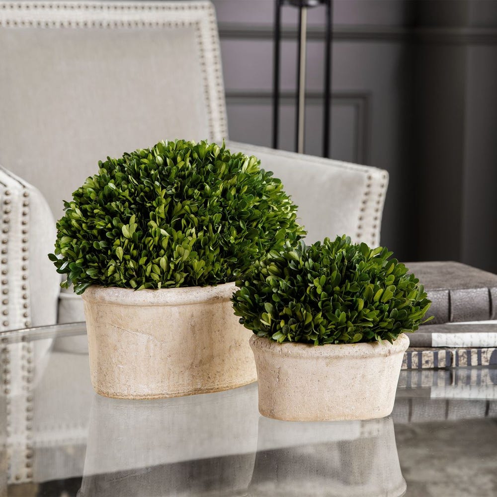 Uttermost Oval Domes Preserved Boxwood - Set of 2