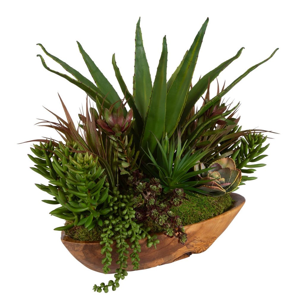 Uttermost Salar Succulents in Teak Bowl
