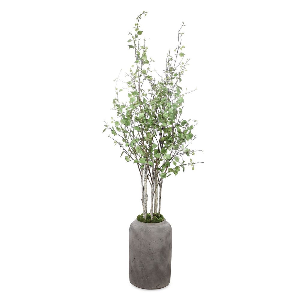 Uttermost Aldis Potted River Birch