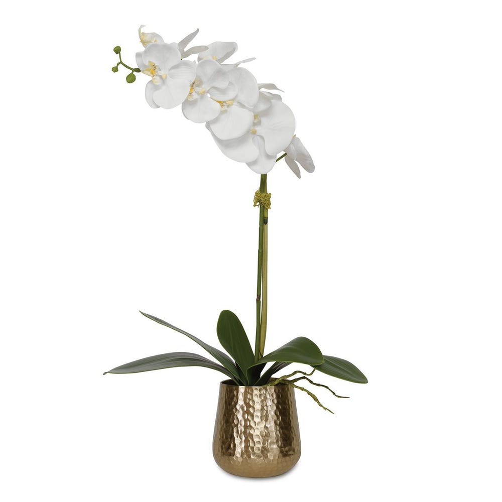 Uttermost Cami Pot