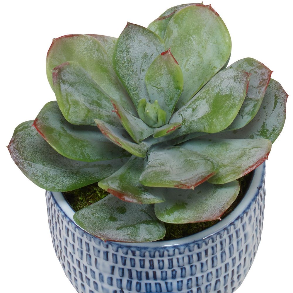 Uttermost Puebla Greenery in Blue & White Pots - Set of 3
