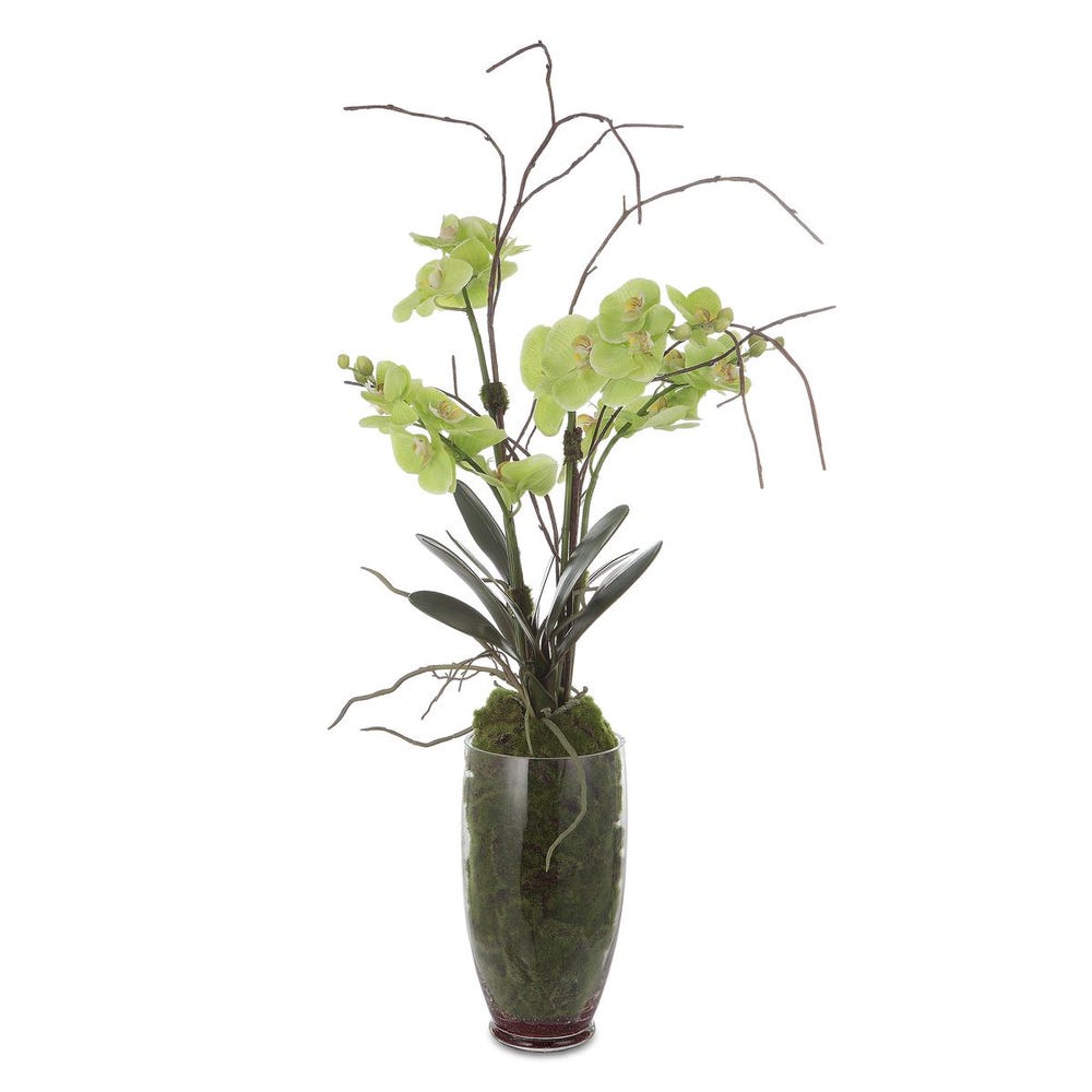 Uttermost Valdive Orchid