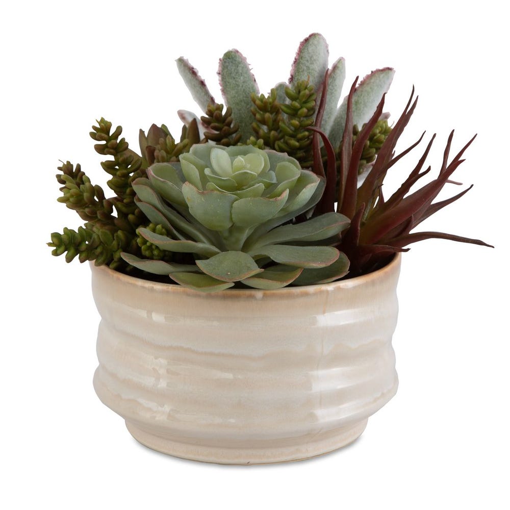 Uttermost Mesa Succulent Accent by Uttermost