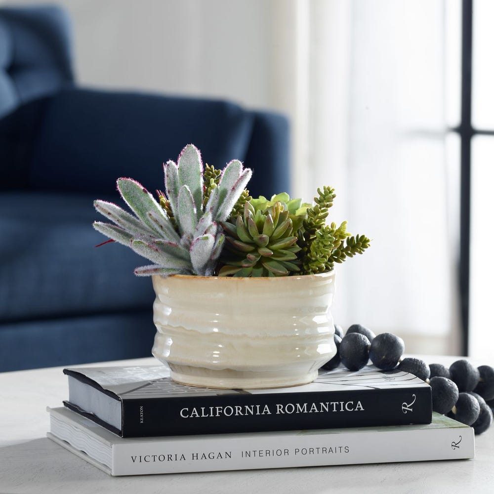 Uttermost Mesa Succulent Accent by Uttermost