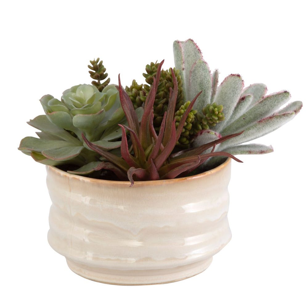 Uttermost Mesa Succulent Accent by Uttermost