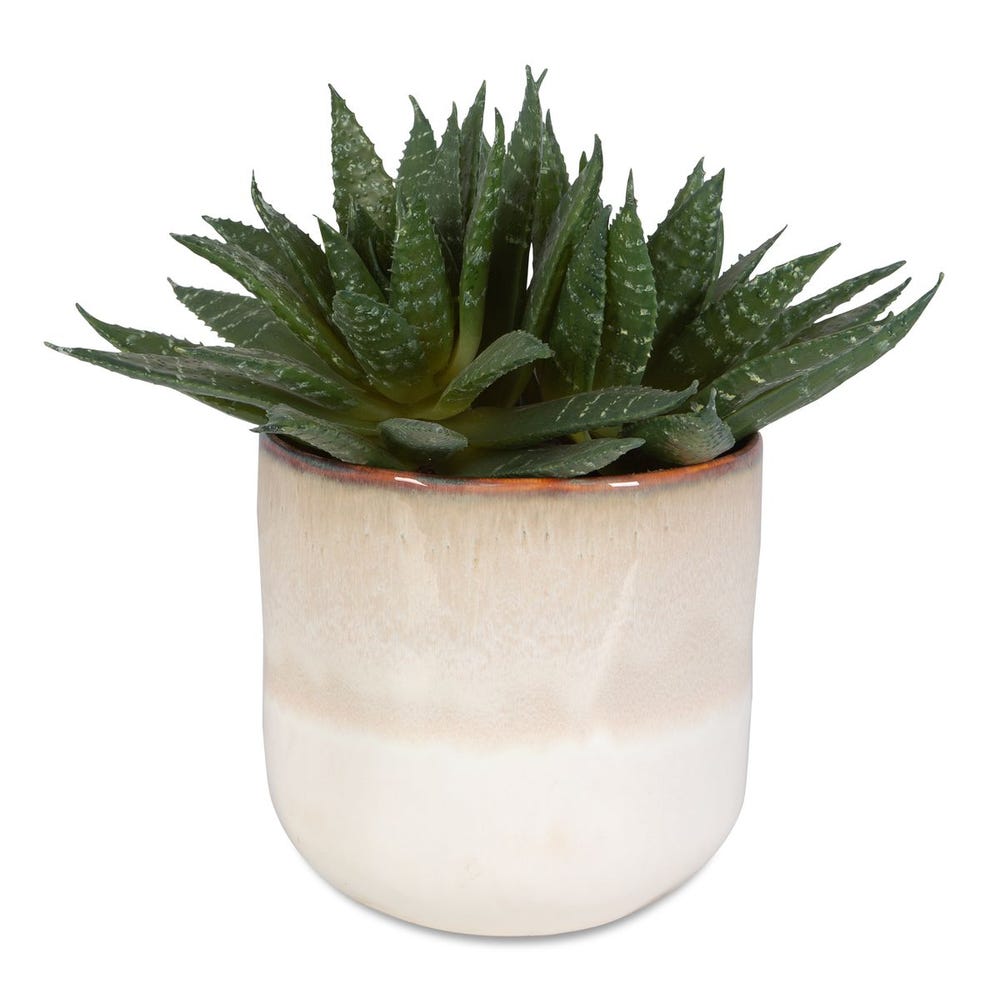 Uttermost Doha Succulent Accent