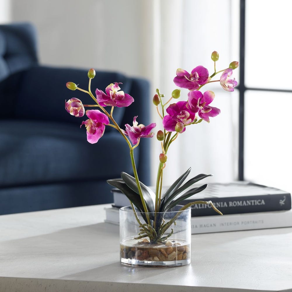Uttermost Glory Orchid