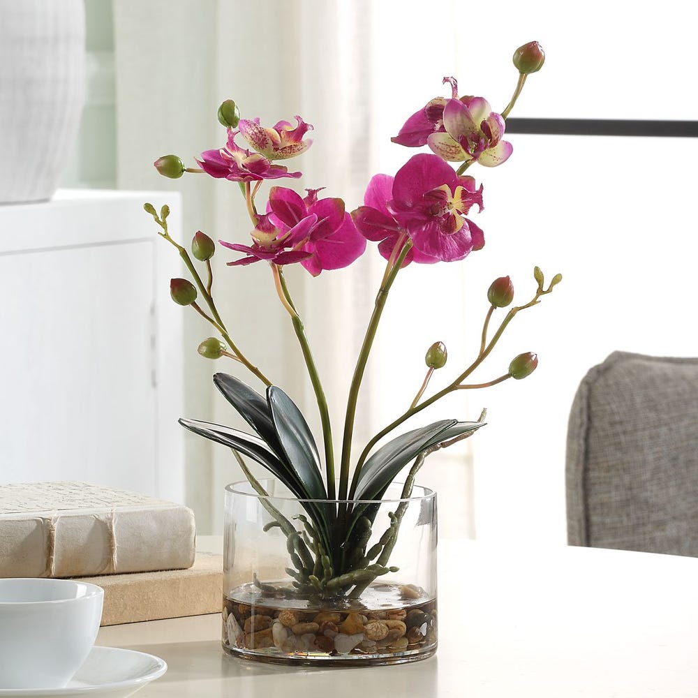 Uttermost Glory Orchid