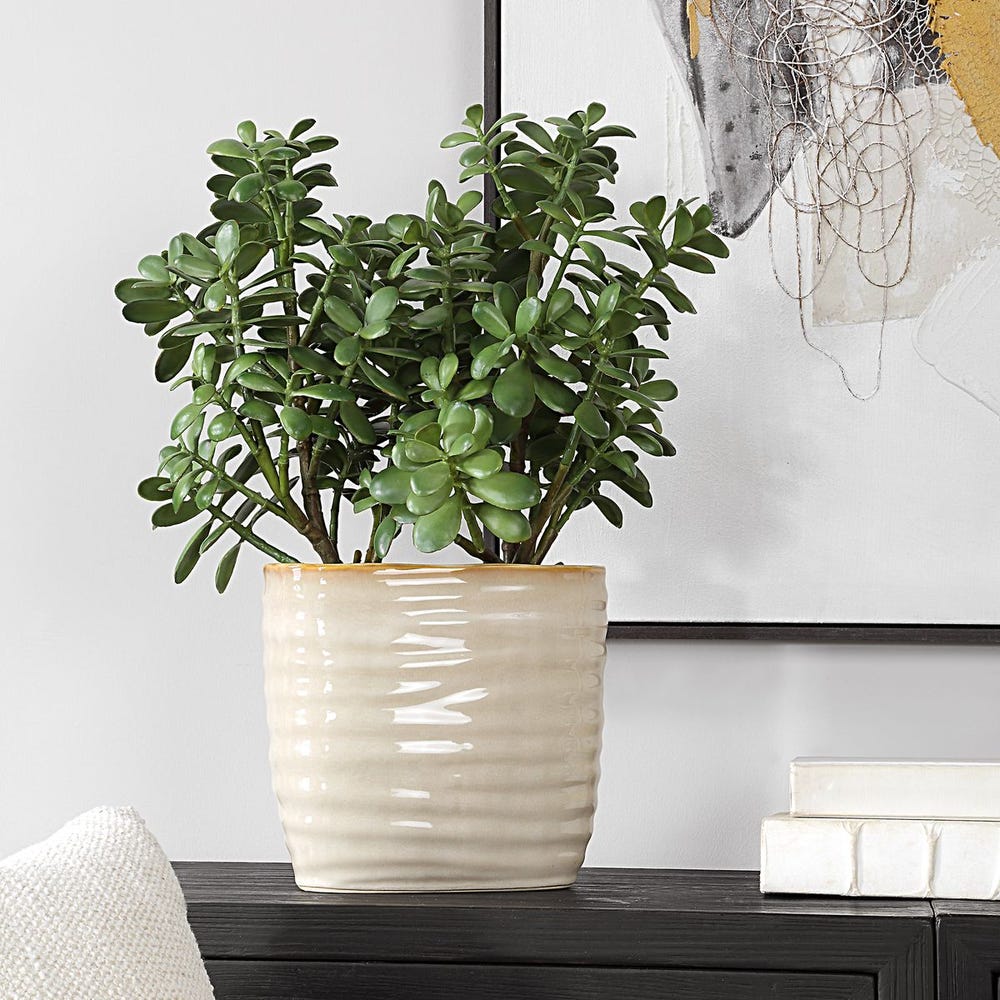 Crassula Jade Accent Plant by Uttermost