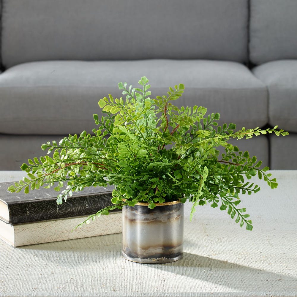 Uttermost Maidenhair Fern in Oxidized Container