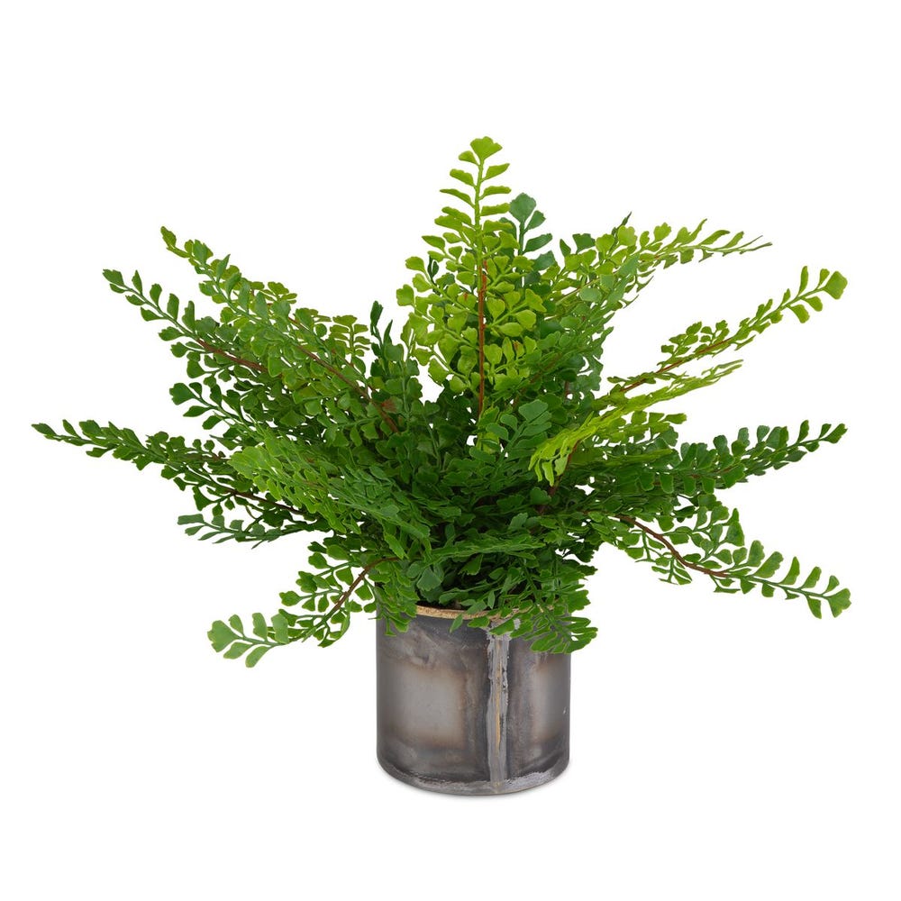 Uttermost Maidenhair Fern in Oxidized Container