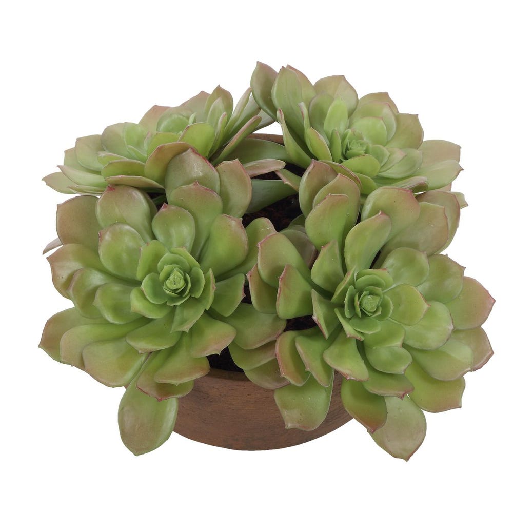 Uttermost Sable Succulent Accent in Pot