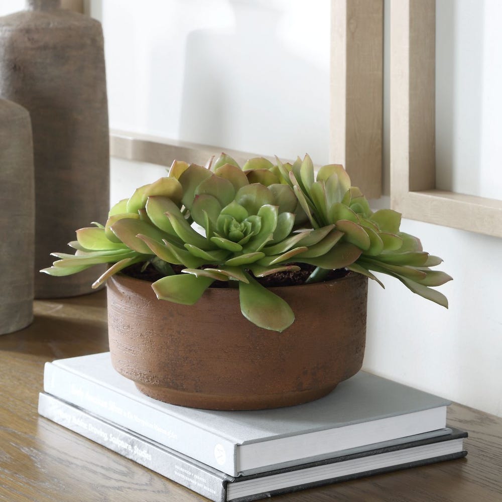 Uttermost Sable Succulent Accent in Pot