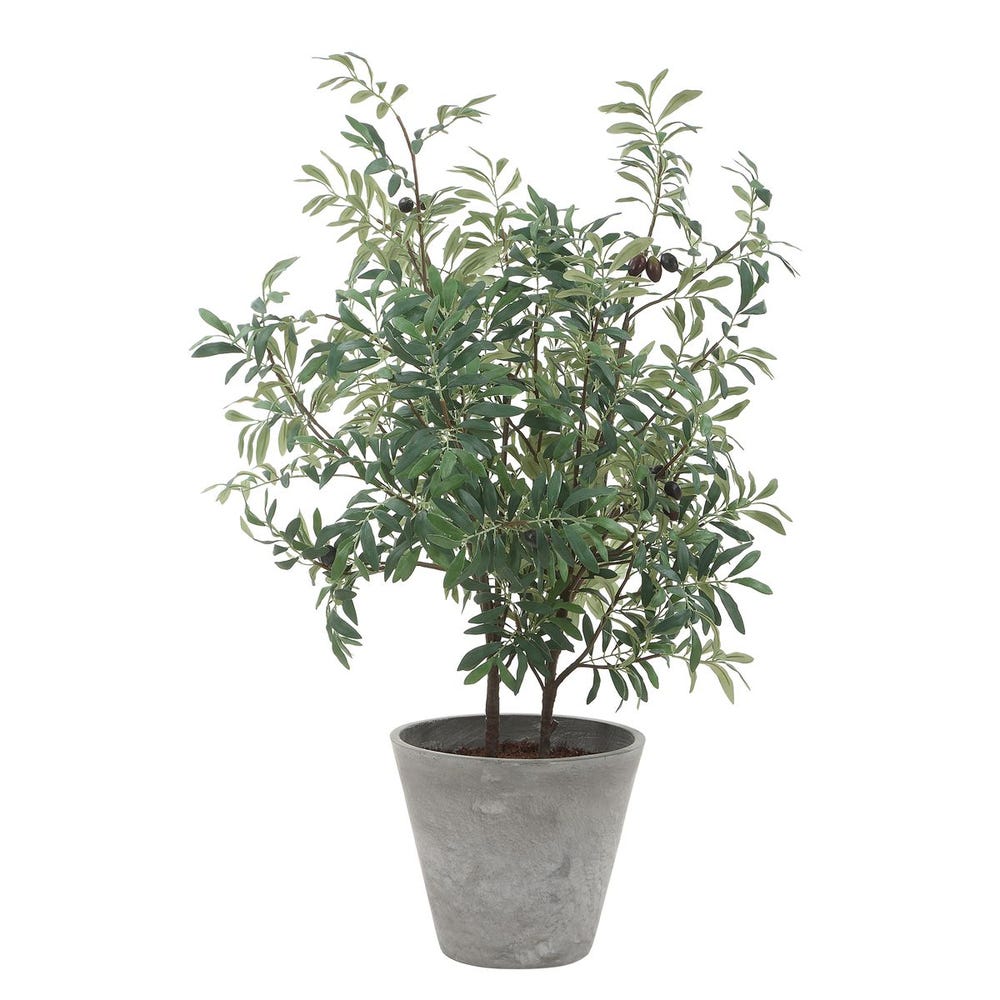 Uttermost Marisol Potted Olive Plant by Uttermost