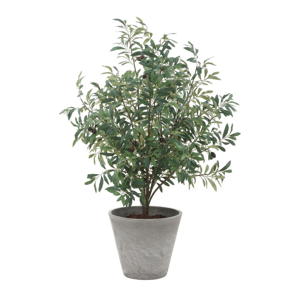 Uttermost Marisol Potted Olive Plant by Uttermost