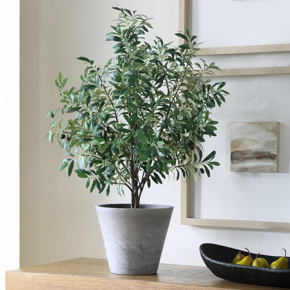 Uttermost Marisol Potted Olive Plant by Uttermost