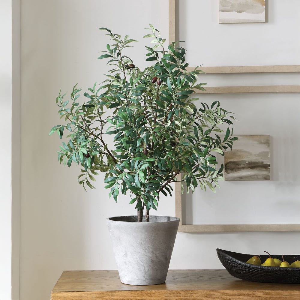 Uttermost Marisol Potted Olive Plant by Uttermost