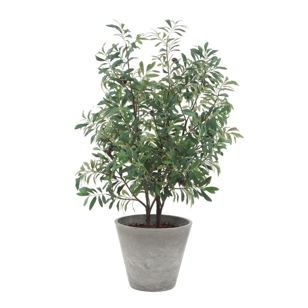 Uttermost Marisol Potted Olive Plant by Uttermost