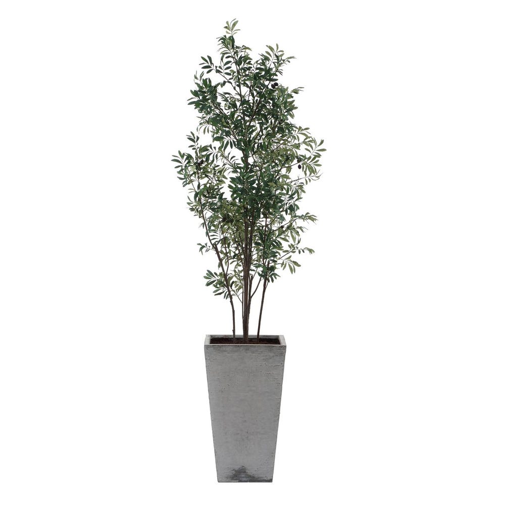 Uttermost Sonora Olive Tree in Planter