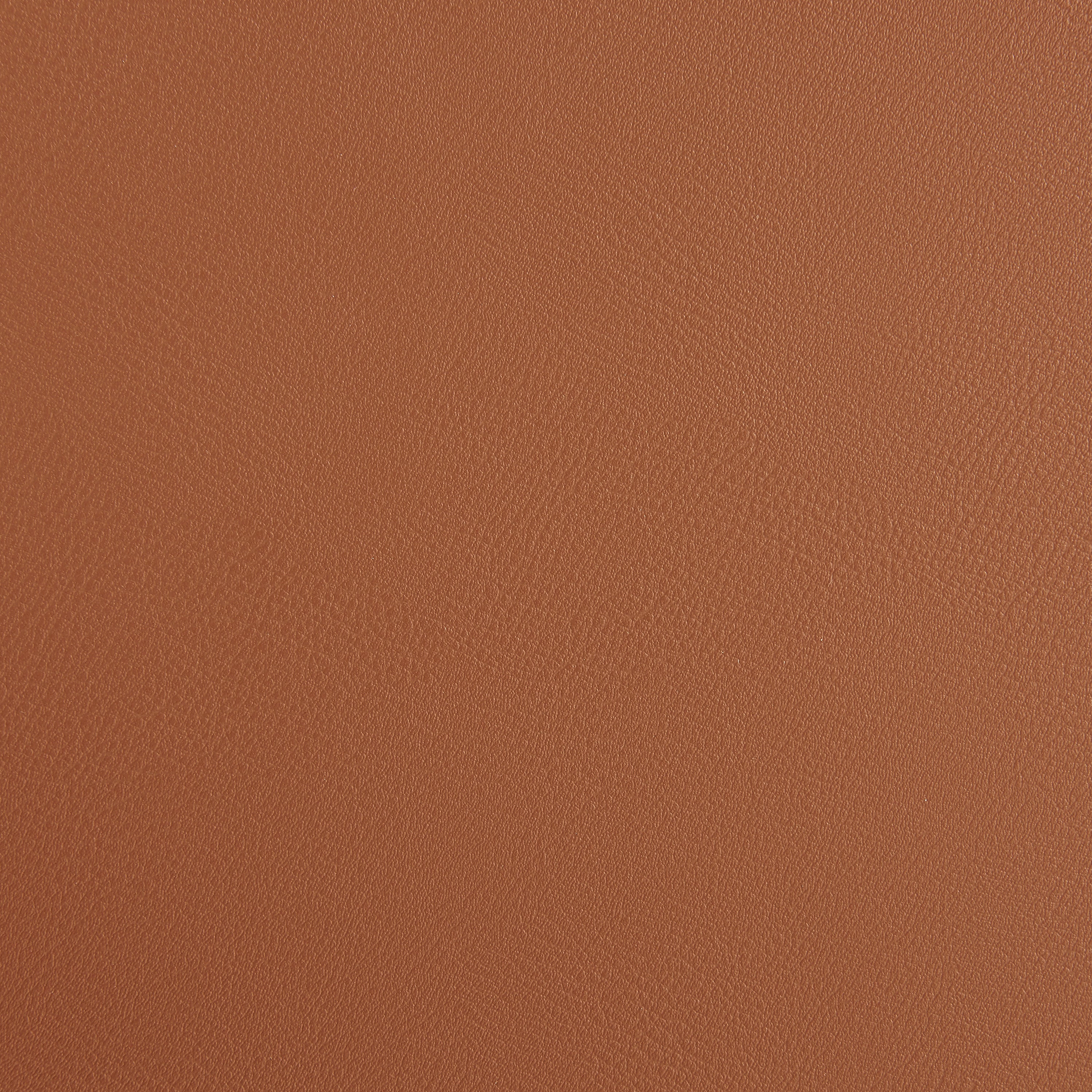 Blanche Counter Stool Bar & Counter Stools Euro Style , Black Friday Sale Euro Style Furniture Sale, Old Bones Co, Mid Century Furniture Sale, Four Hands Furniture, Black Friday Sale Blanche Counter Stool,Gus Sale, Perigold Blanche Counter Stool Bar & Counter Stools Black Friday Sale , Perigold Sale Blanche Counter Stool,Blanche Counter Stool Lulu and Georgia, Burke Decor Sale Blanche Counter Stool, www.oldbonesco.com