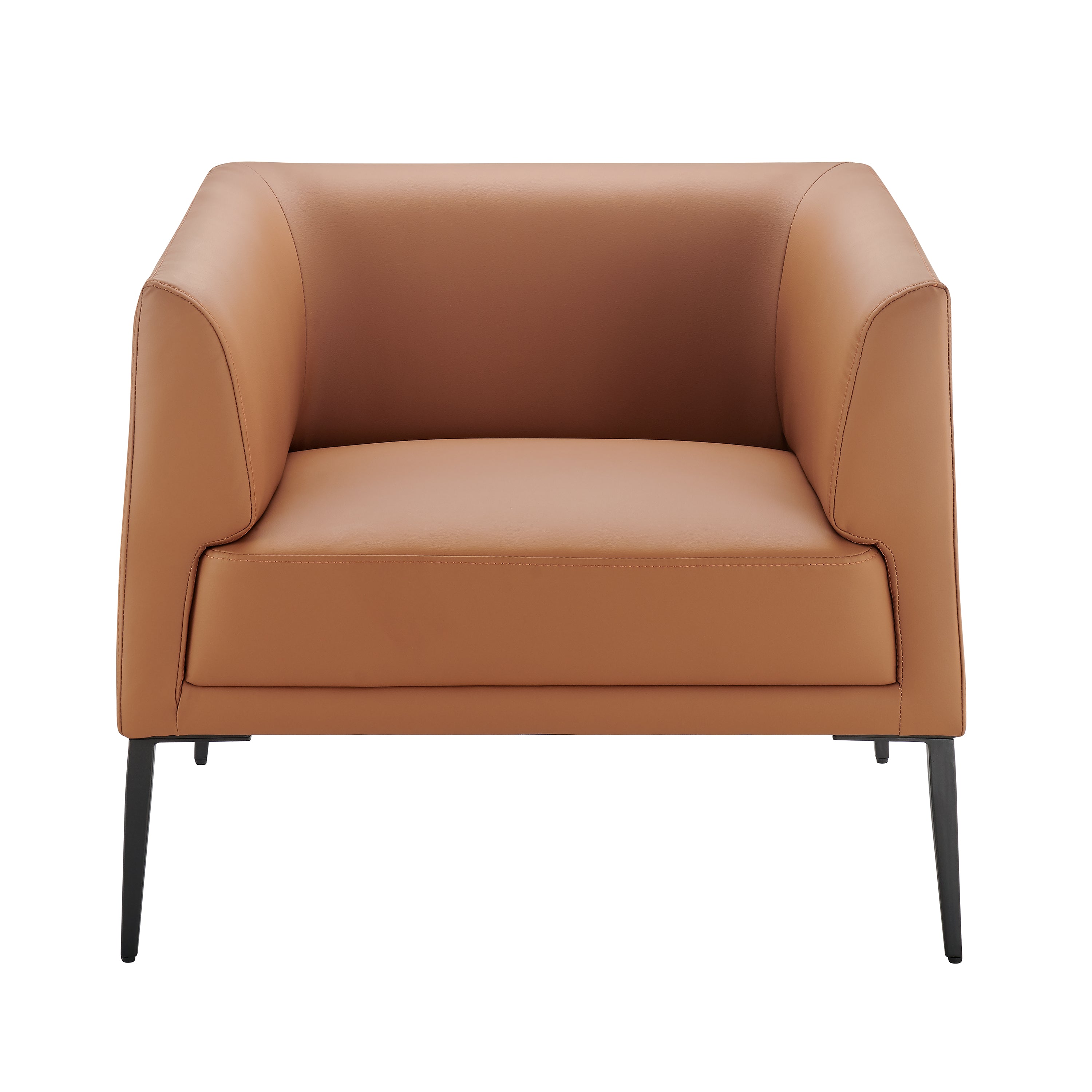 Matias Leather Lounge Chair
